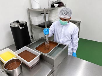 Melting chocolate for the fruit shell coating