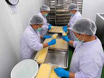 Gelato filling process inside chocolate molds