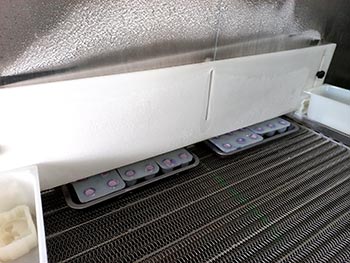 Gelato Pops entering the IQF system