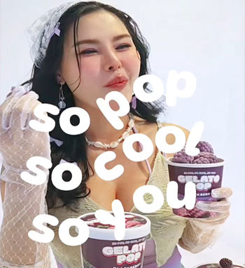 วิดีโอของเจ้าของ