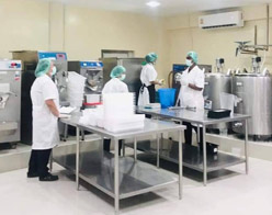 Macro OEM ice cream production