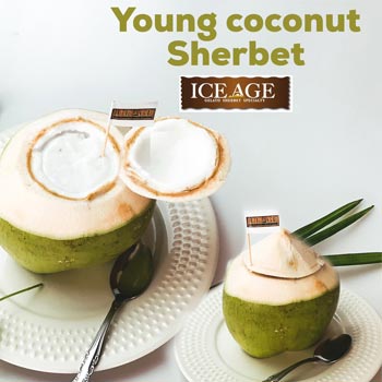Young coconut sherbet